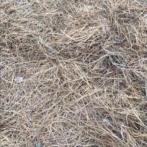 Meet your Posher, Preston